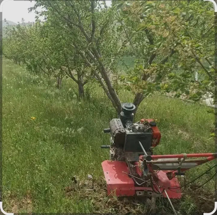 شخم زنی باغ ورزقان|خدمات باغبانی و درختکاری|ورزقان, |دیوار