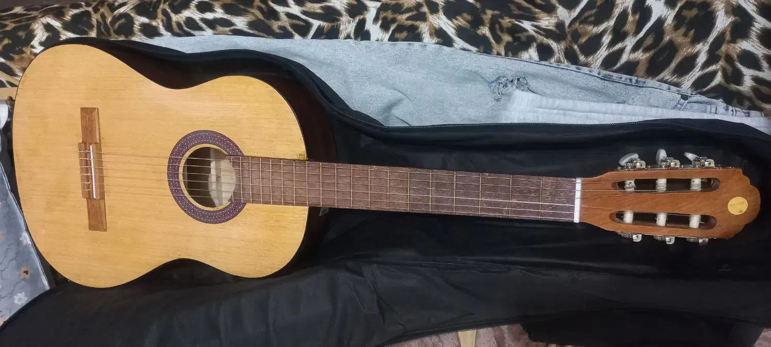 گیتار|گیتار، بیس، امپلیفایر|نجفآباد, امام خمینی|دیوار