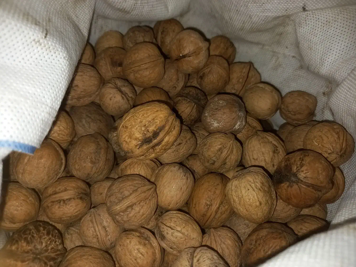 گردو|خوردنی و آشامیدنی|جوانرود, |دیوار