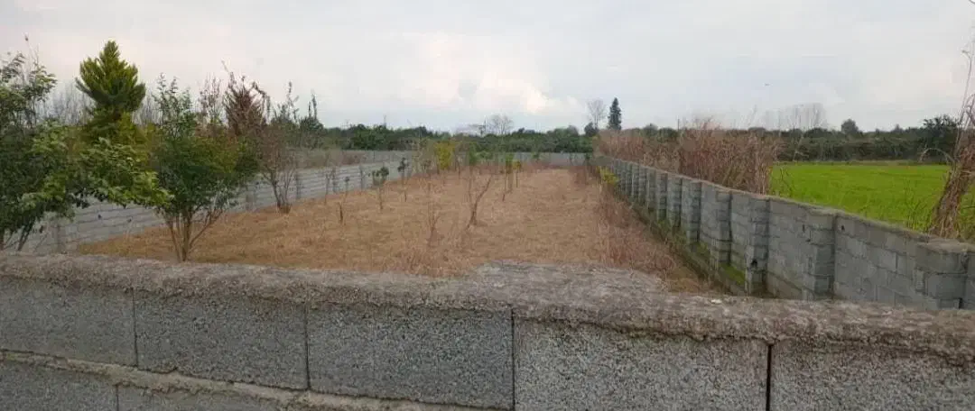 زمین باغی (ملک شخصی)|فروش زمین و ملک کلنگی|آمل, |دیوار