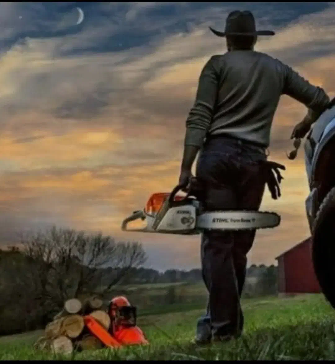 برش درخت و خرید چوب|خدمات باغبانی و درختکاری|شیراز, شریفآباد|دیوار