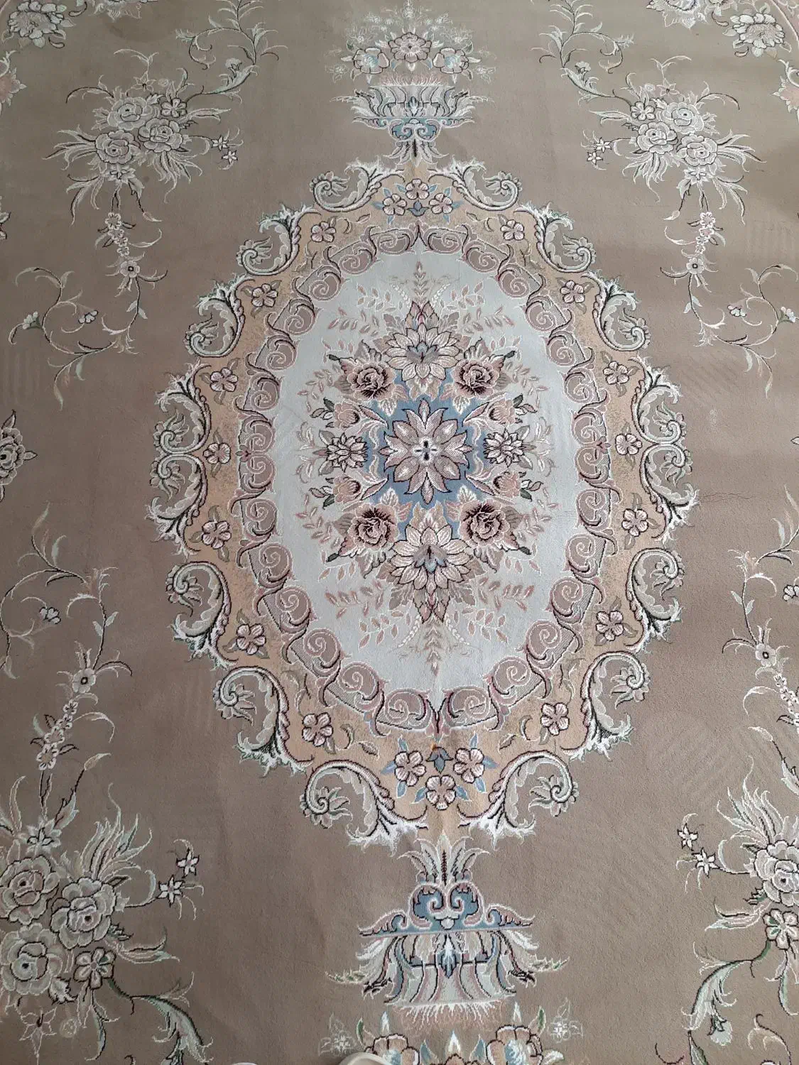 فرش ماشینی|فرش|بجنورد, |دیوار