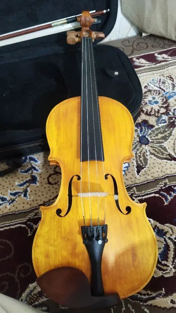 ویالون|ویولن|کوهمره, |دیوار