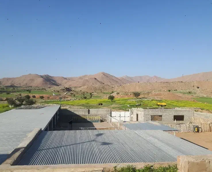 دامداری همراه ویلا با سند|فروش زمین و ملک کلنگی|مسجد سلیمان, |دیوار