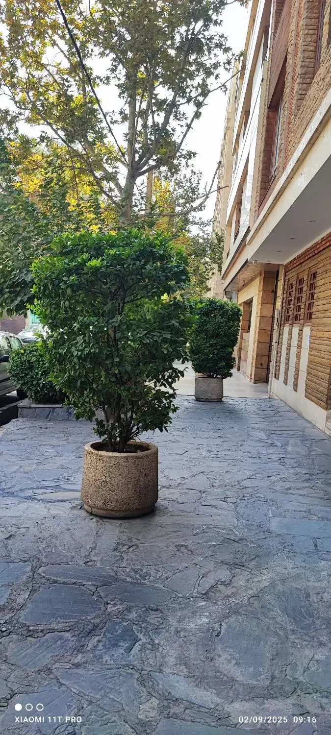 گرین دکتر.صفرتاصد فضای سبز شما با گرین دکتر|گل و گیاه طبیعی|تهران, آجودانیه|دیوار