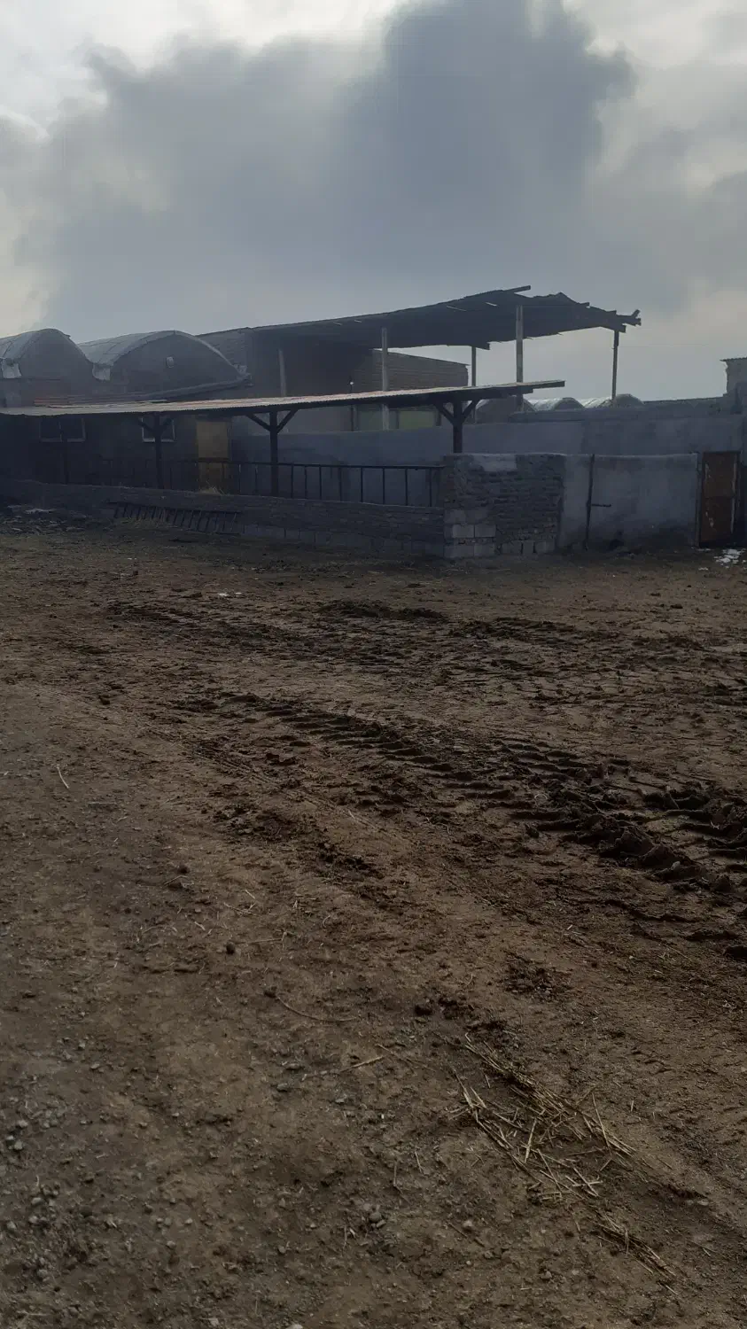 یک دستگاه دامداری 200راسه|فروش دفتر صنعتی، کشاورزی، تجاری|اردبیل, |دیوار