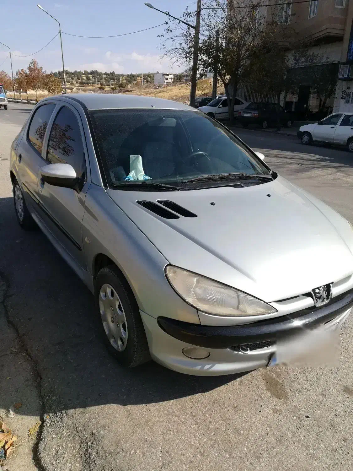 206 تمام رنگ شاسی سالم|خودرو سواری و وانت|کامیاران, |دیوار