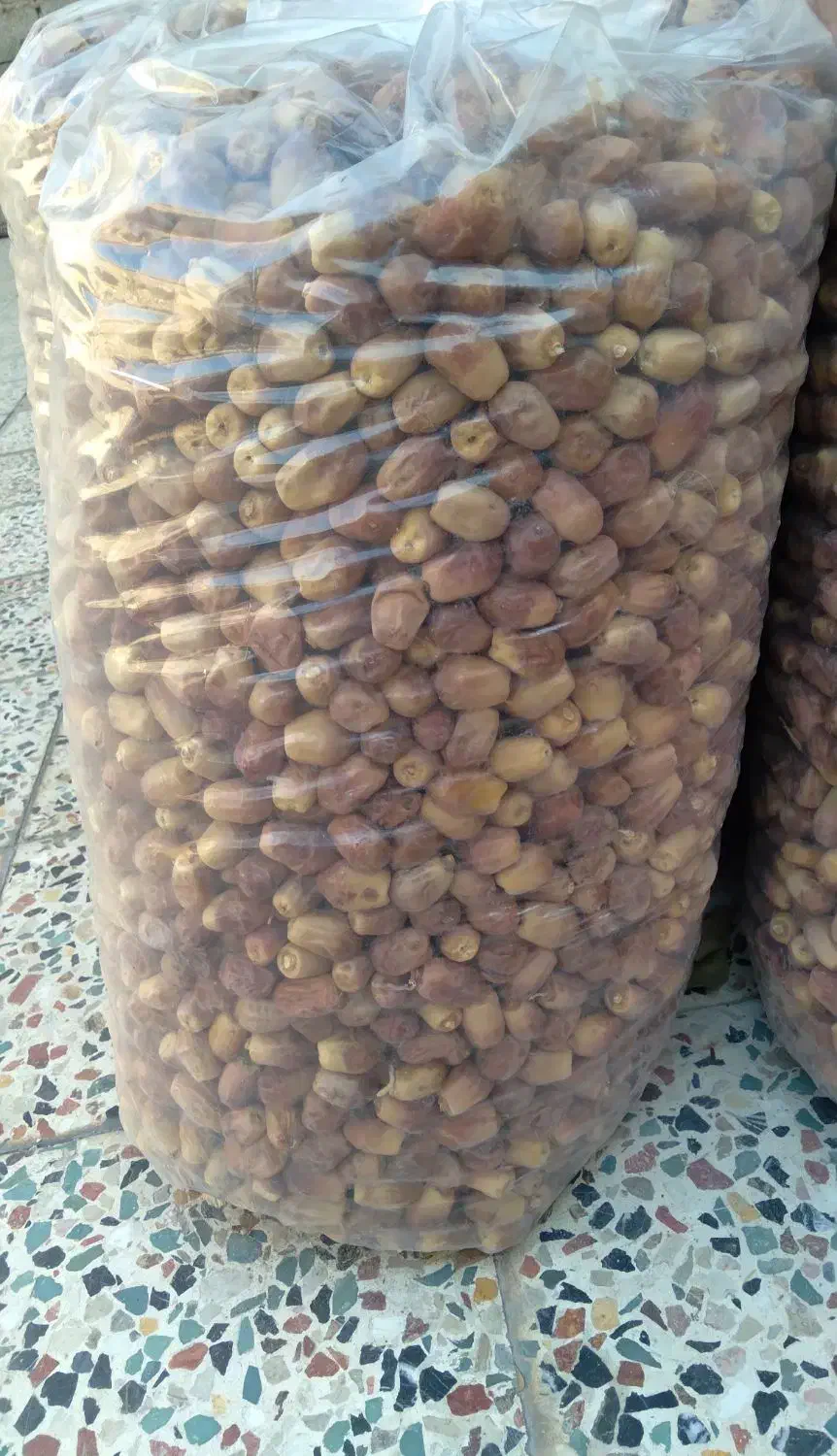 قصب کیلو ۹۰|خوردنی و آشامیدنی|جهرم, |دیوار