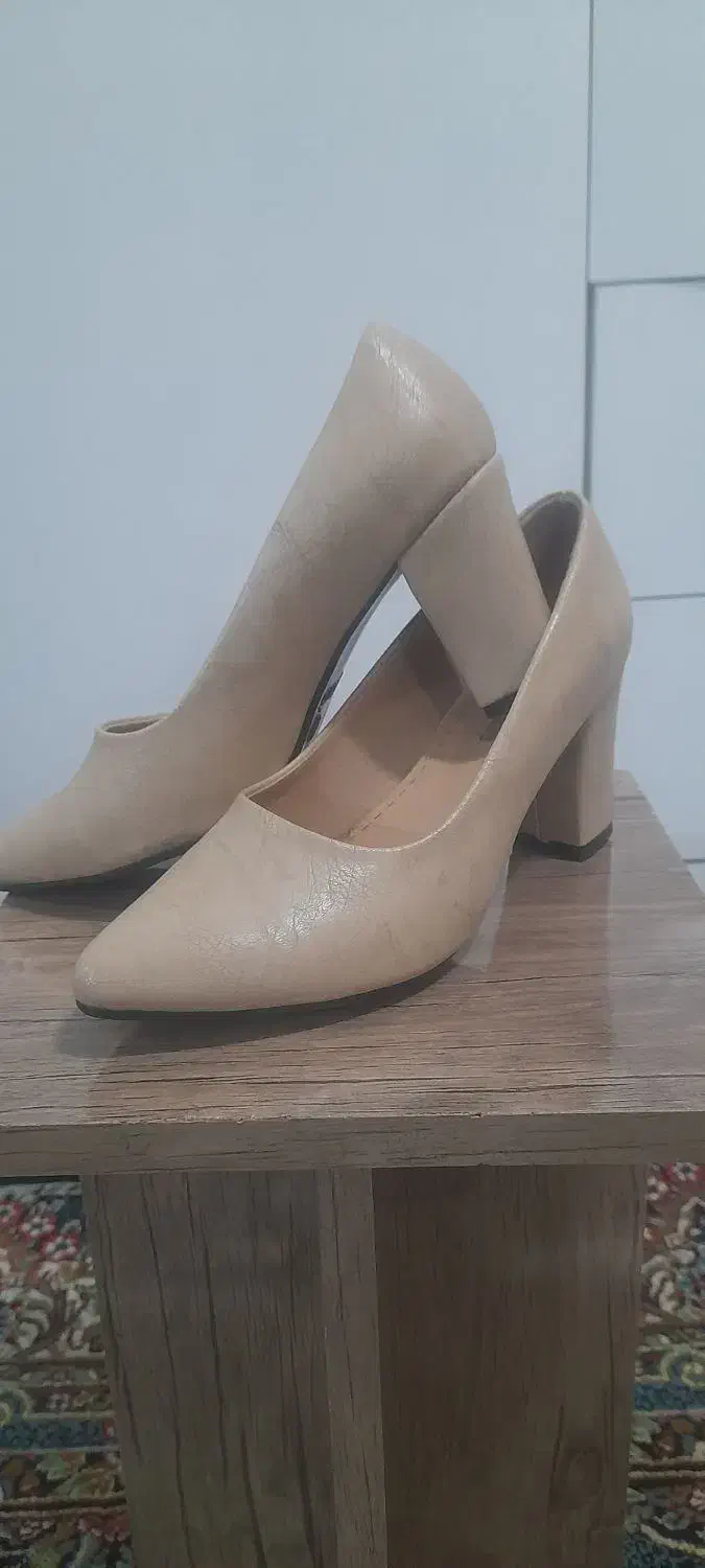 کفش|کیف، کفش، کمربند|مشهد, کوی سیدی|دیوار