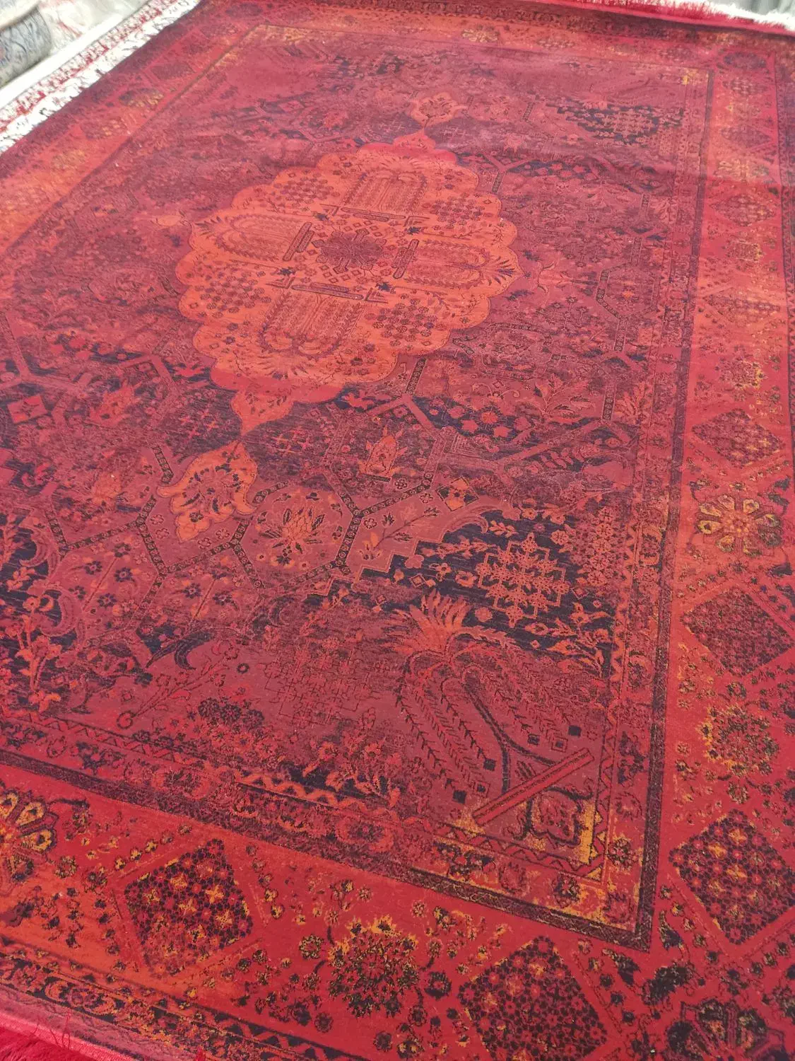 فرش لاکی جدید در همه سایز|فرش|اصفهان, برزان|دیوار