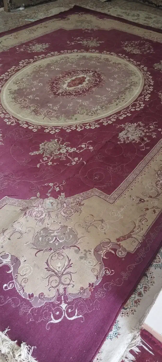 فرش ۱۲ متری|فرش|بیرجند, |دیوار