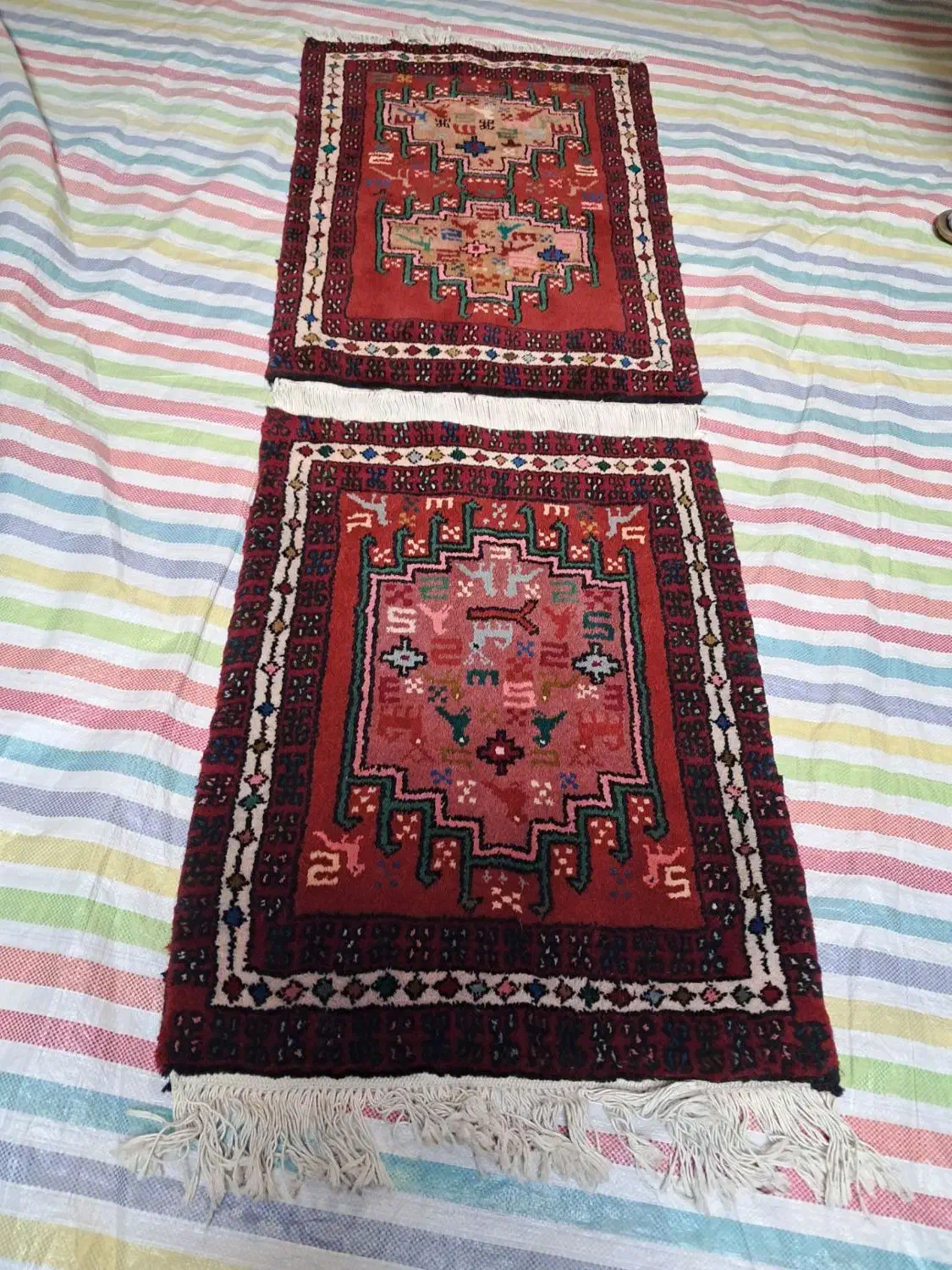 فرش فروشی رر|فرش|پارسآباد, |دیوار