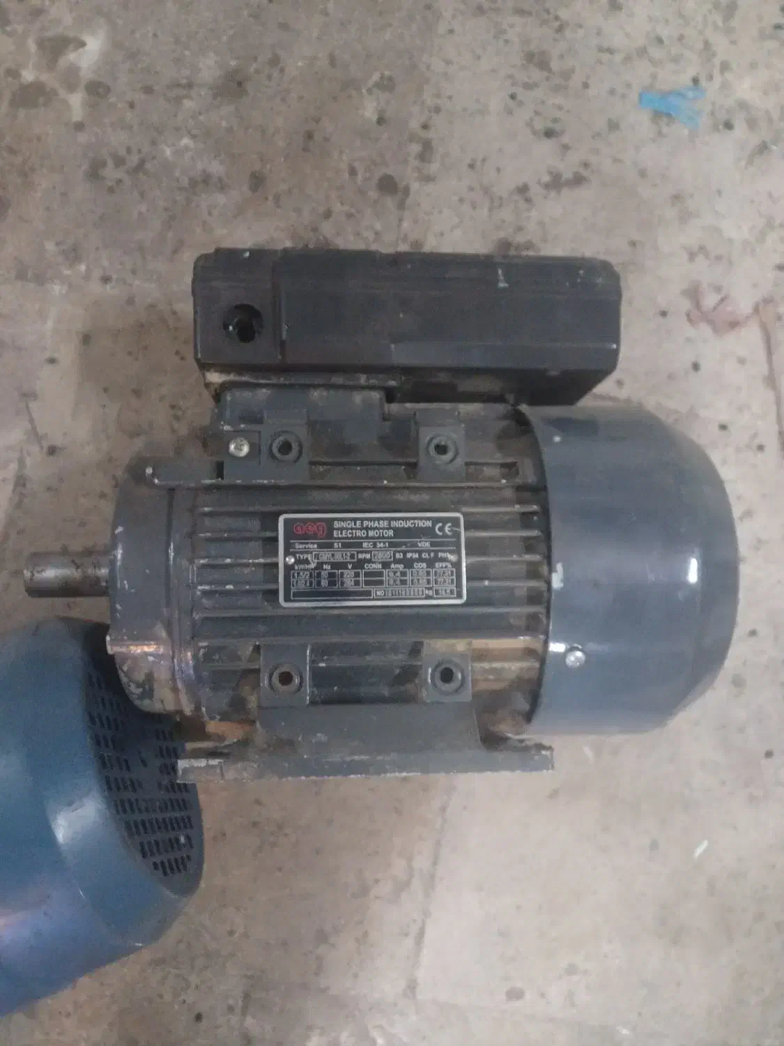 کبوتر|ابزارآلات|قم, وادی السلام|دیوار