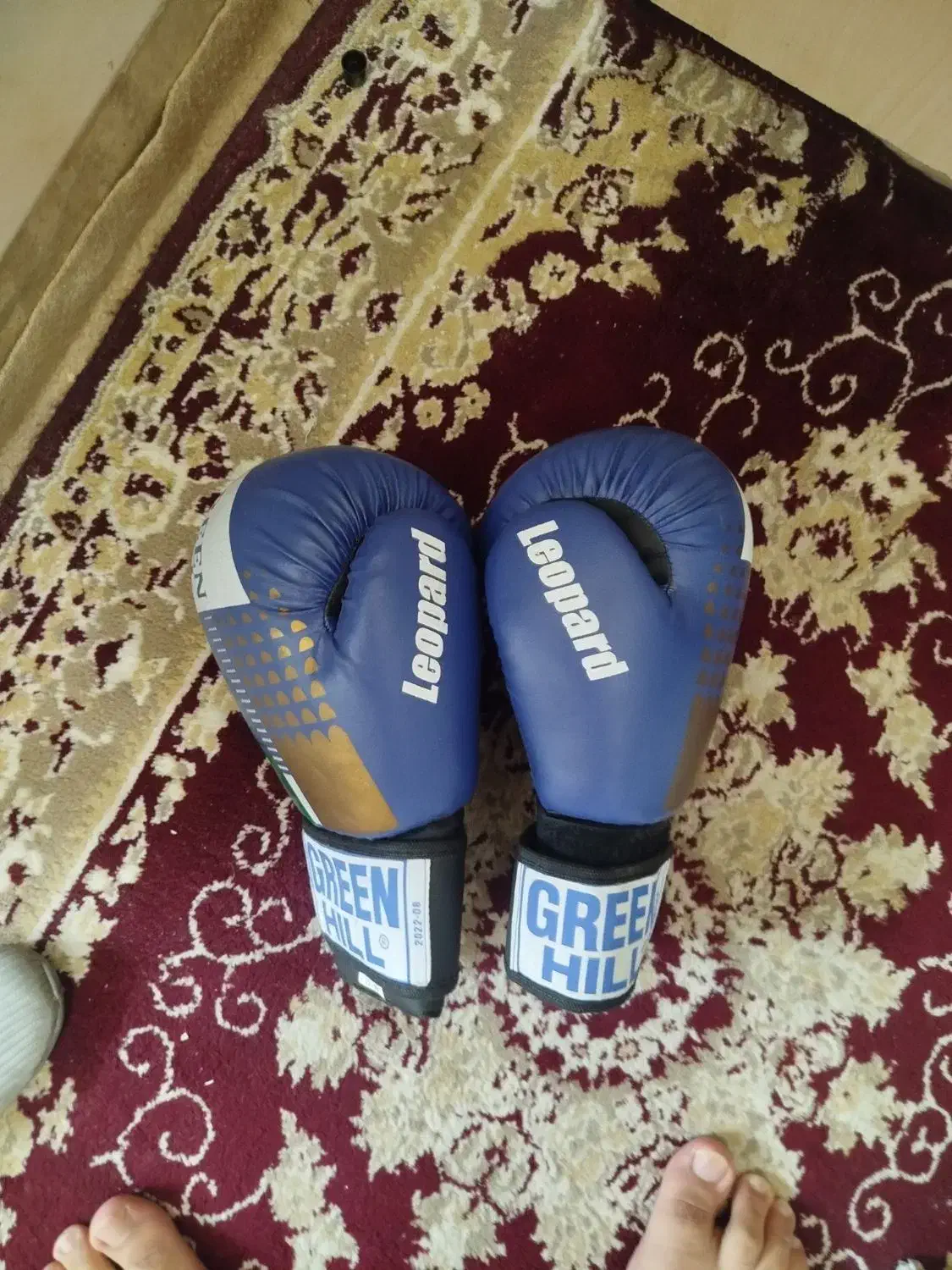 دستکش بوکس|تجهیزات ورزشی|شیراز, طلاب|دیوار