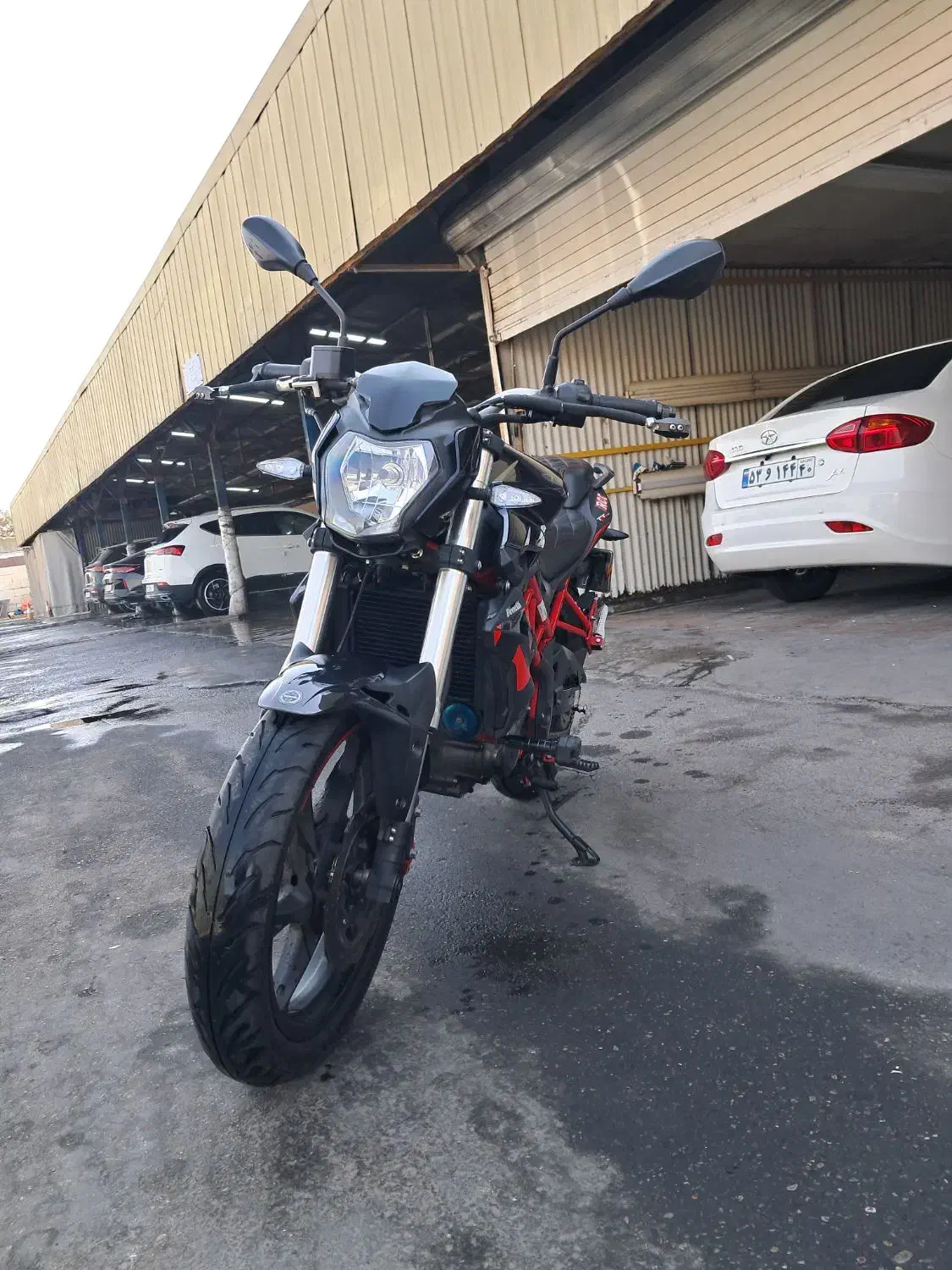 بنلی tnt250 تک سیلندر|موتورسیکلت|تهران, دولاب|دیوار