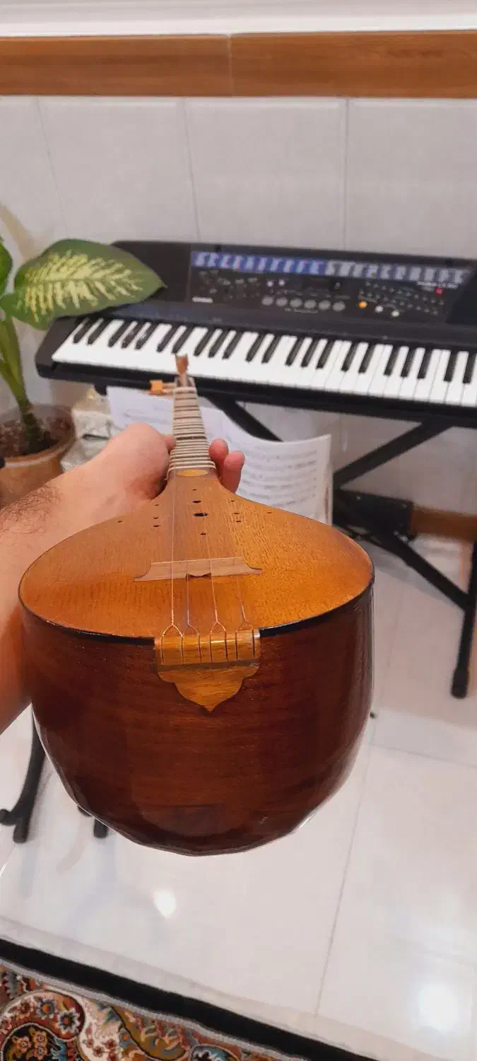 سه تار|سازهای سنتی|بهارستان, |دیوار