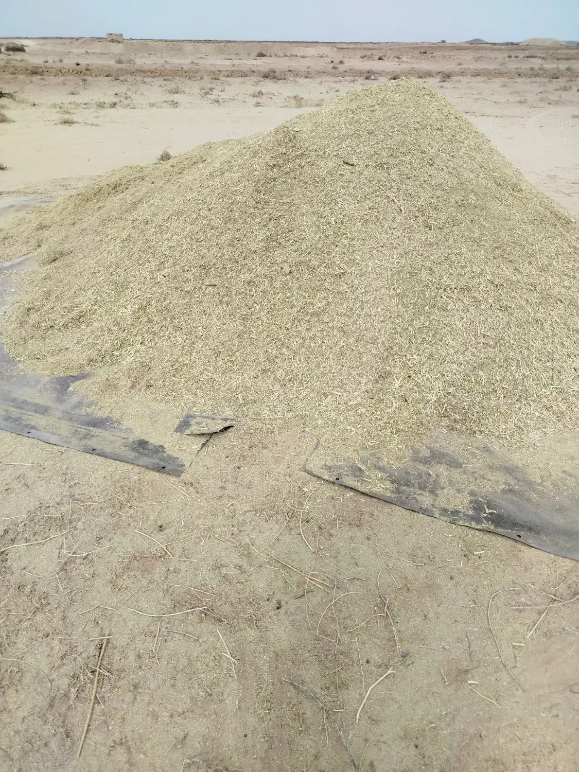 خار|لوازم جانبی حیوانات|قاسم‌آباد (خواف), |دیوار