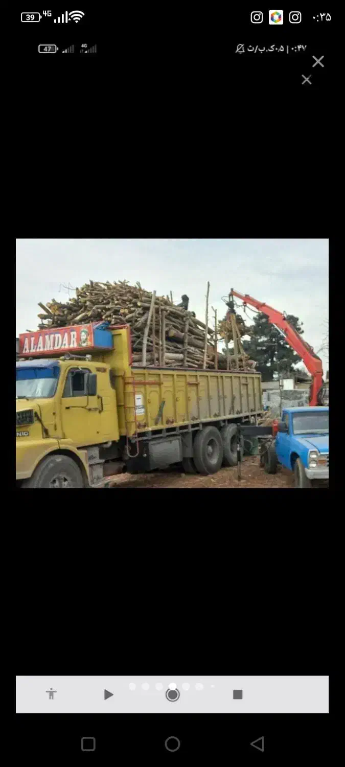 خرید وبرش وهرس کردن انواع چوب.درخانه وباغ|خدمات باغبانی و درختکاری|جهرم, |دیوار