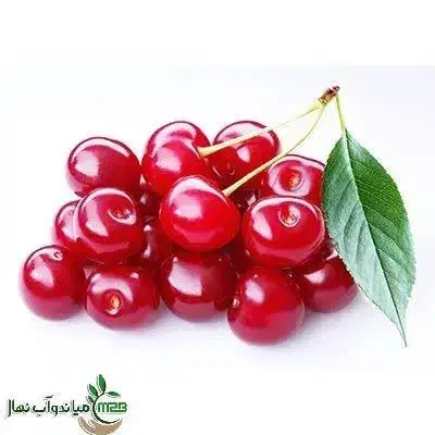 تولید نهال آلبالو گوشواره ای|خدمات باغبانی و درختکاری|چادگان, |دیوار