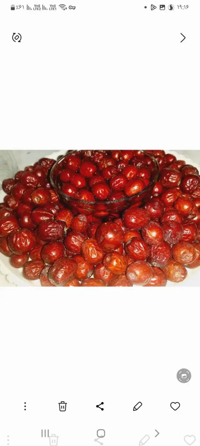 عناب وزرشک|خوردنی و آشامیدنی|نیشابور, شهرک بسیج|دیوار