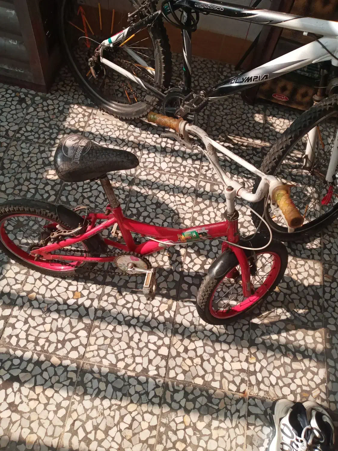 فروش دوچرخه|دوچرخه، اسکیت، اسکوتر|رشت, گیل|دیوار