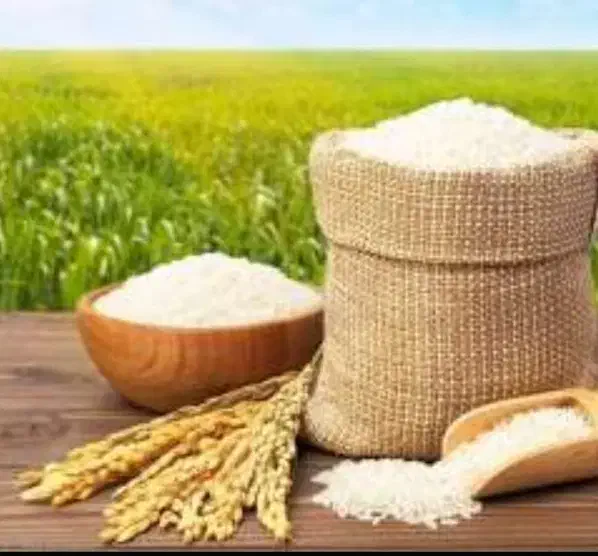 برنج طارم|خوردنی و آشامیدنی|گیلان غرب, |دیوار