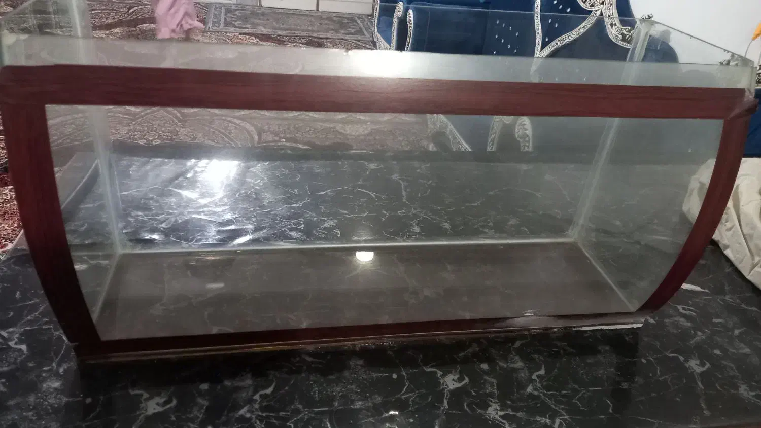 اکواریوم نو|ماهیگیری|مشهد, انقلاب|دیوار