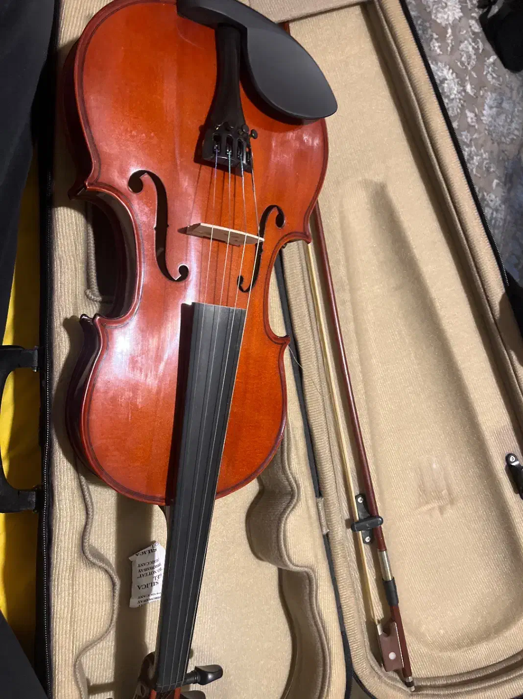 ویالون|ویولن|تهران, آجودانیه|دیوار