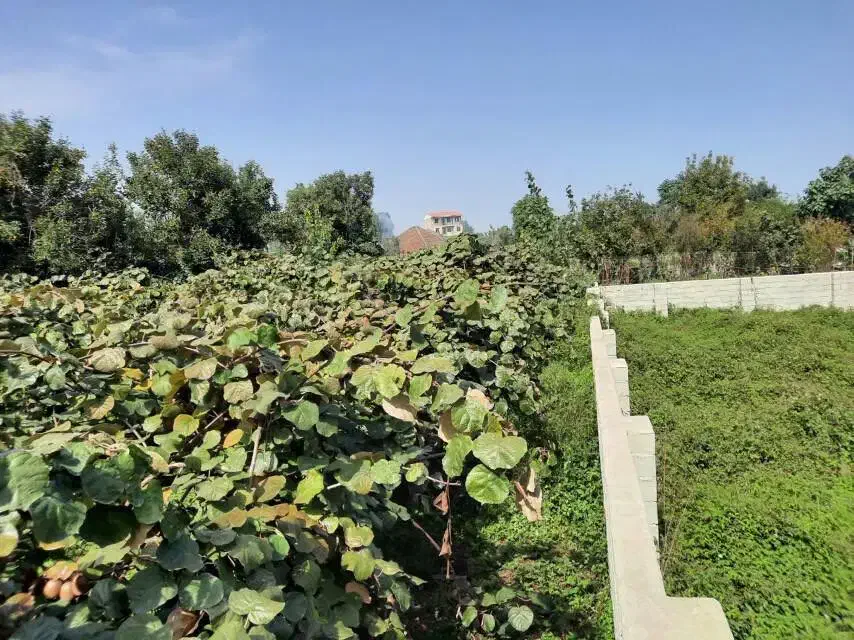 ۲۷۰ متر زمین تفکیک قابل ساخت محله پلاسی|فروش زمین و ملک کلنگی|چوبر, |دیوار