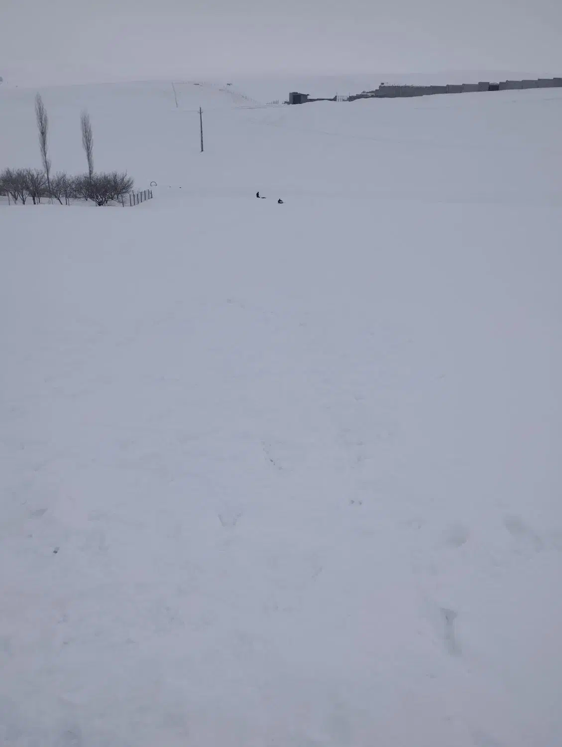 کاه گندم|لوازم جانبی حیوانات|هشترود, |دیوار