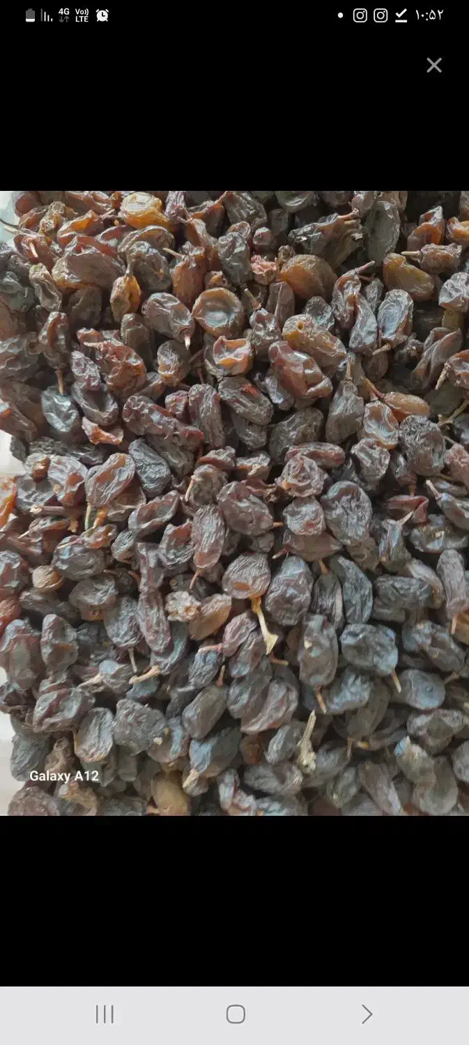کشمش بی دانه درشت|خوردنی و آشامیدنی|ضیاء آباد, |دیوار