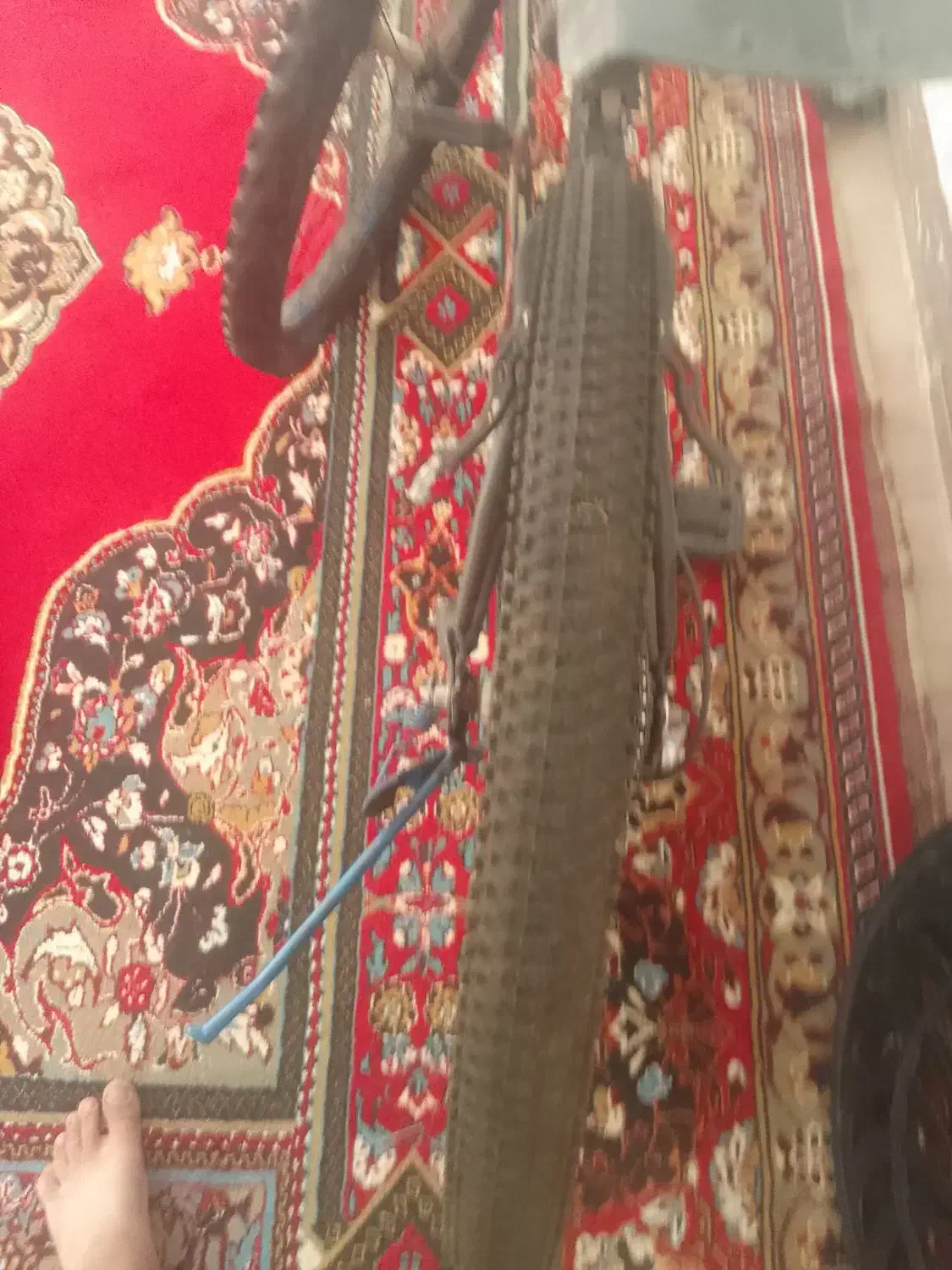 دوچرخه ۲۶|دوچرخه، اسکیت، اسکوتر|پلدختر, |دیوار