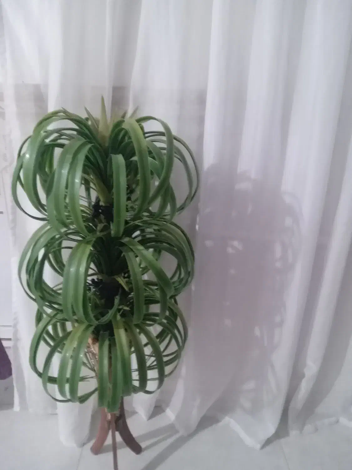 سلام گل مصنوعی|گل مصنوعی|تربتحیدریه, پائین ولایت|دیوار