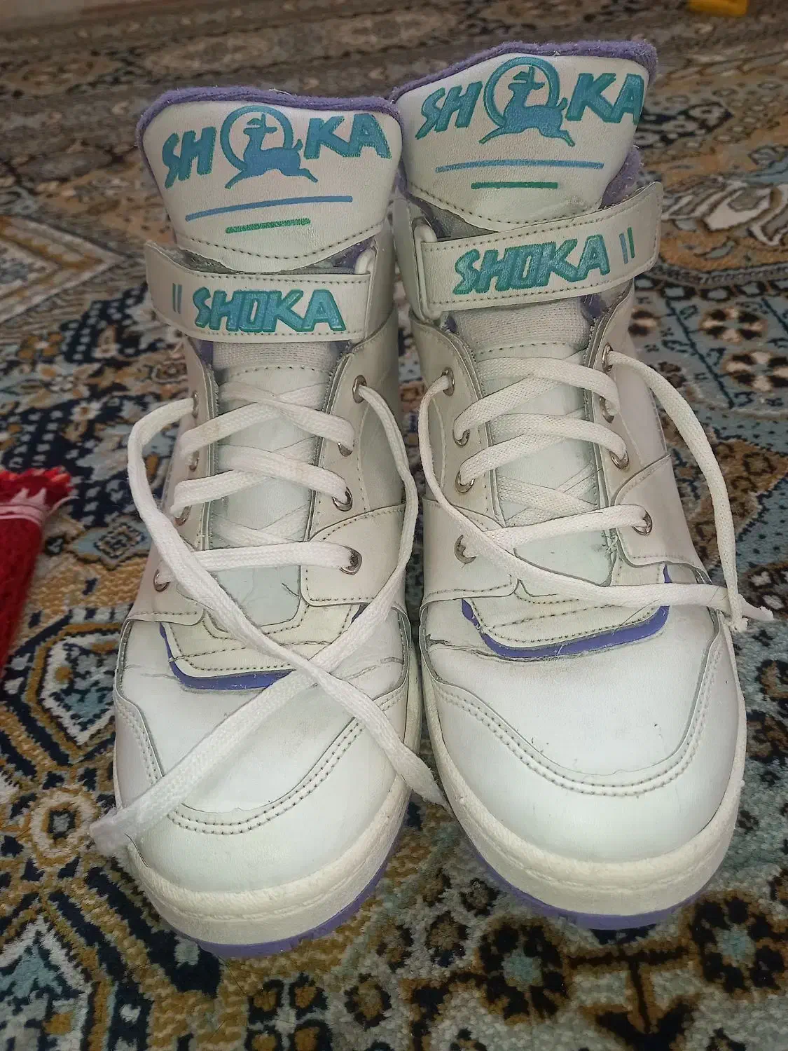 کفش|کیف، کفش، کمربند|اسفراین, |دیوار