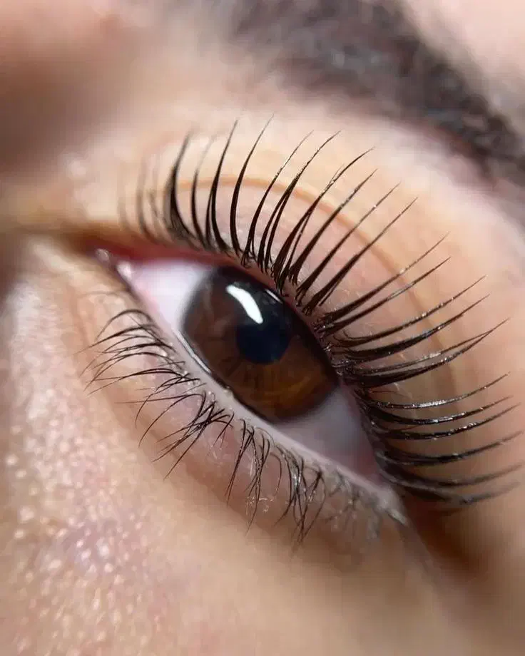 مدل لیفت مژه ابرو آف ویژه ۱۴۰|خدمات آرایشگری و زیبایی|مشهد, حسابی جنوبی (شهرک غرب)|دیوار