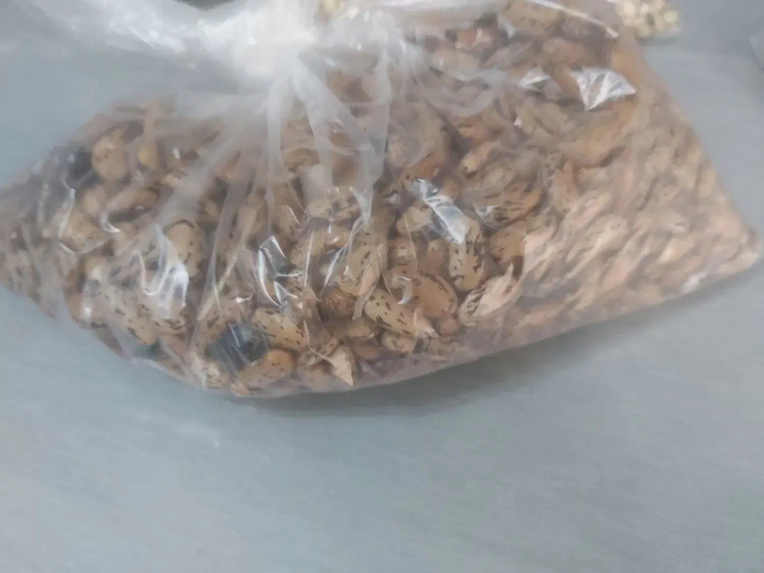 حبوبات|خوردنی و آشامیدنی|رشت, دروازه لاکان|دیوار