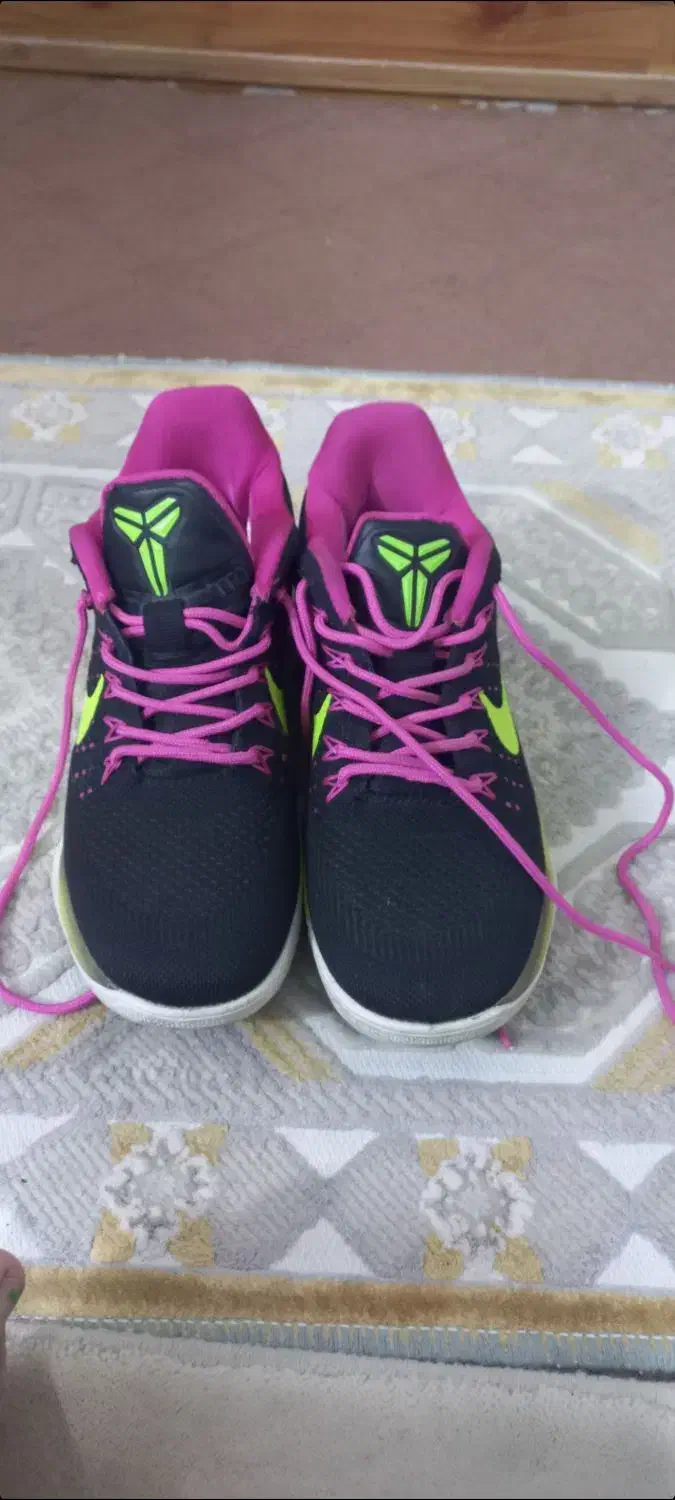 کفش|کیف، کفش، کمربند|سرپل ذهاب, |دیوار