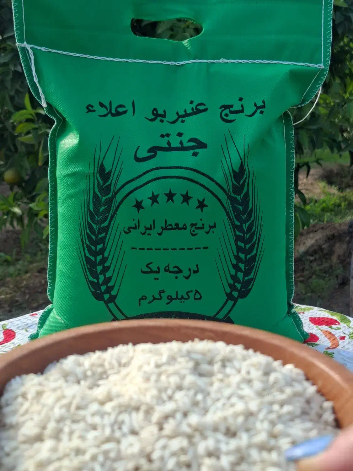 برنج عنبربو جنتی|خوردنی و آشامیدنی|دزفول, |دیوار