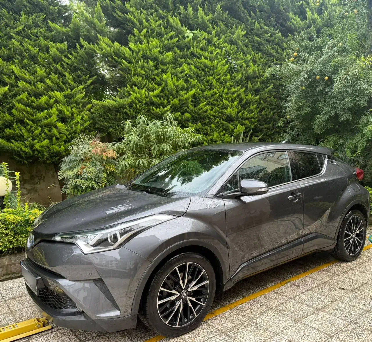 فروش تویوتا C-HR|خودرو سواری و وانت|تنکابن, |دیوار