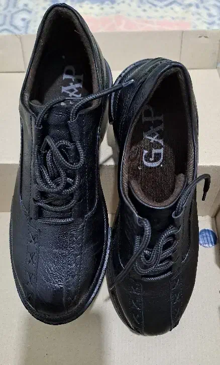 کفش|کیف، کفش، کمربند|سامان, |دیوار