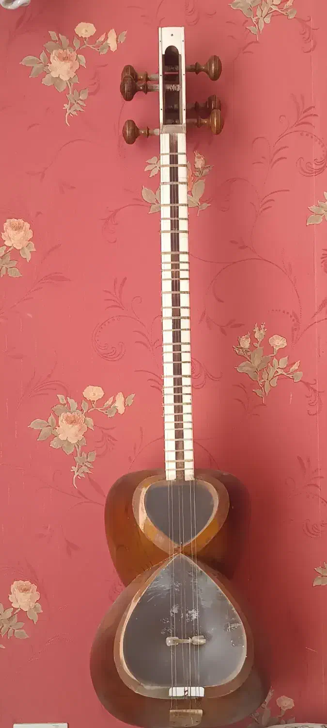 ساز تار|سازهای سنتی|همدان, |دیوار