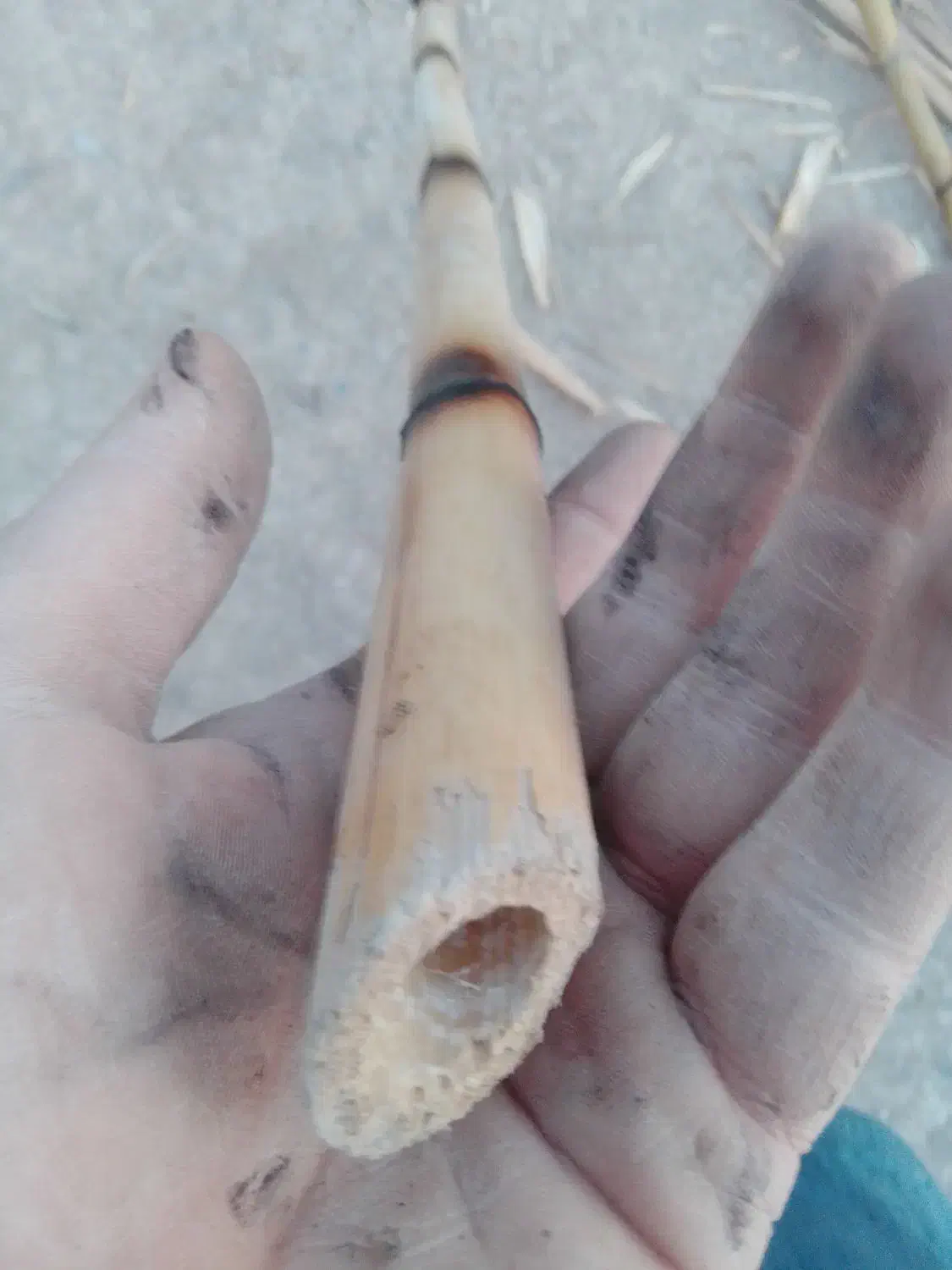 نی خیزران بامبو|ماهیگیری|ورامین, ورامین|دیوار