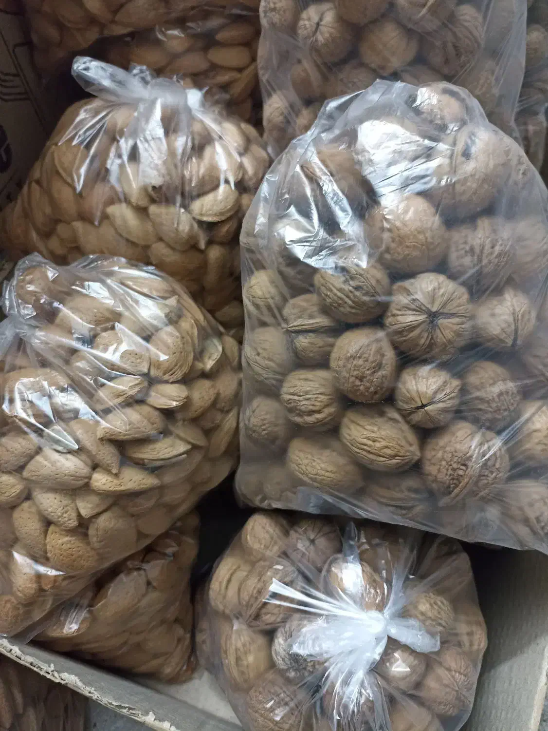 بادام و گردو،الوبخارا،سیر|خوردنی و آشامیدنی|شیراز, شهرک پردیس|دیوار