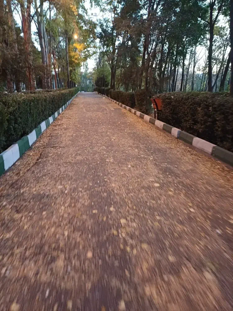 زمین فروشی در قیدار|فروش مغازه و غرفه|قیدار, |دیوار