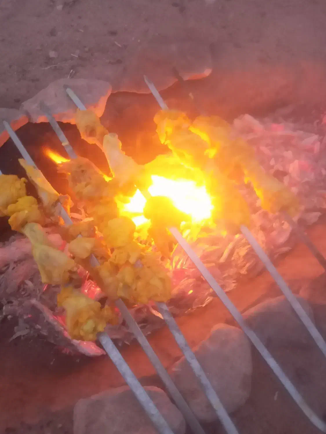 بره نر فروش فوری|حیوانات مزرعه|قائن, |دیوار