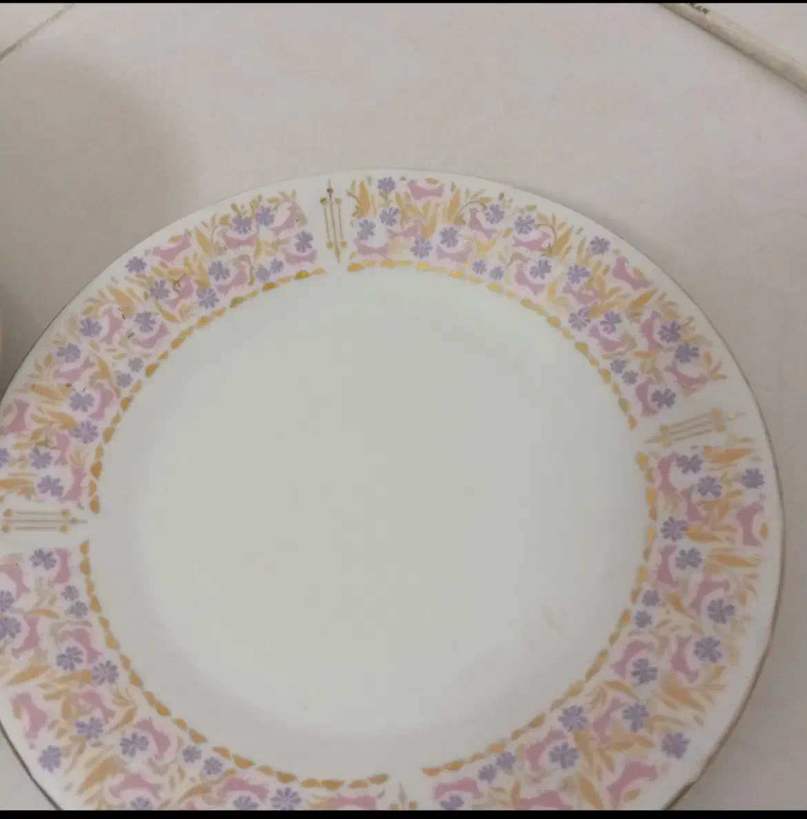 بشقاب میوه خوری مناسب باغ|ظروف سرو و پذیرایی|سبزوار, عظیمیان|دیوار