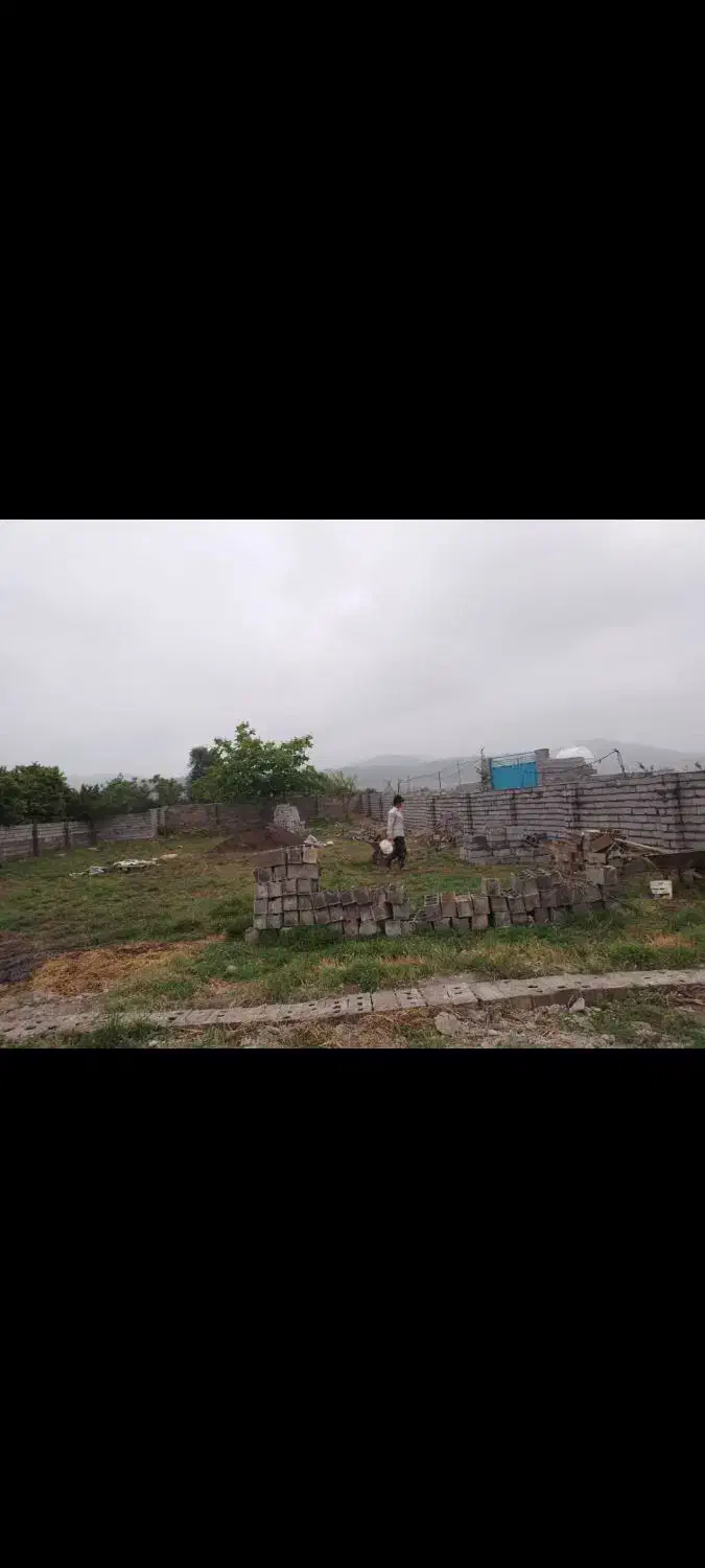 زمین ۶۵۰ متر دونبش ویو جنگل|فروش زمین و ملک کلنگی|تهران, بوستان سرخه حصار|دیوار