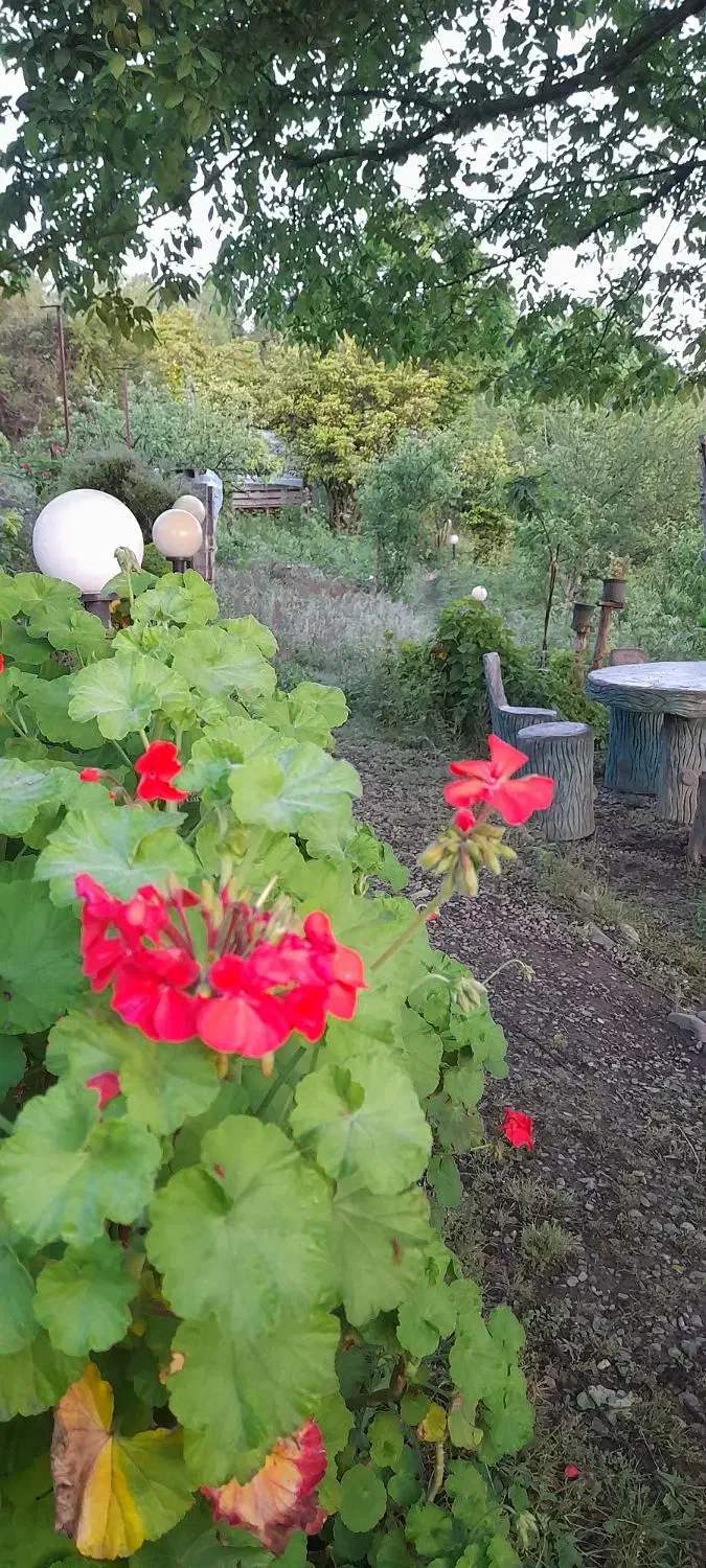 ویلا باغ جنگلی با چشم انداز  بی نظیردشت وجنگل|اجارهٔ کوتاه‌مدت ویلا و باغ|لاهیجان, کوی خزر|دیوار