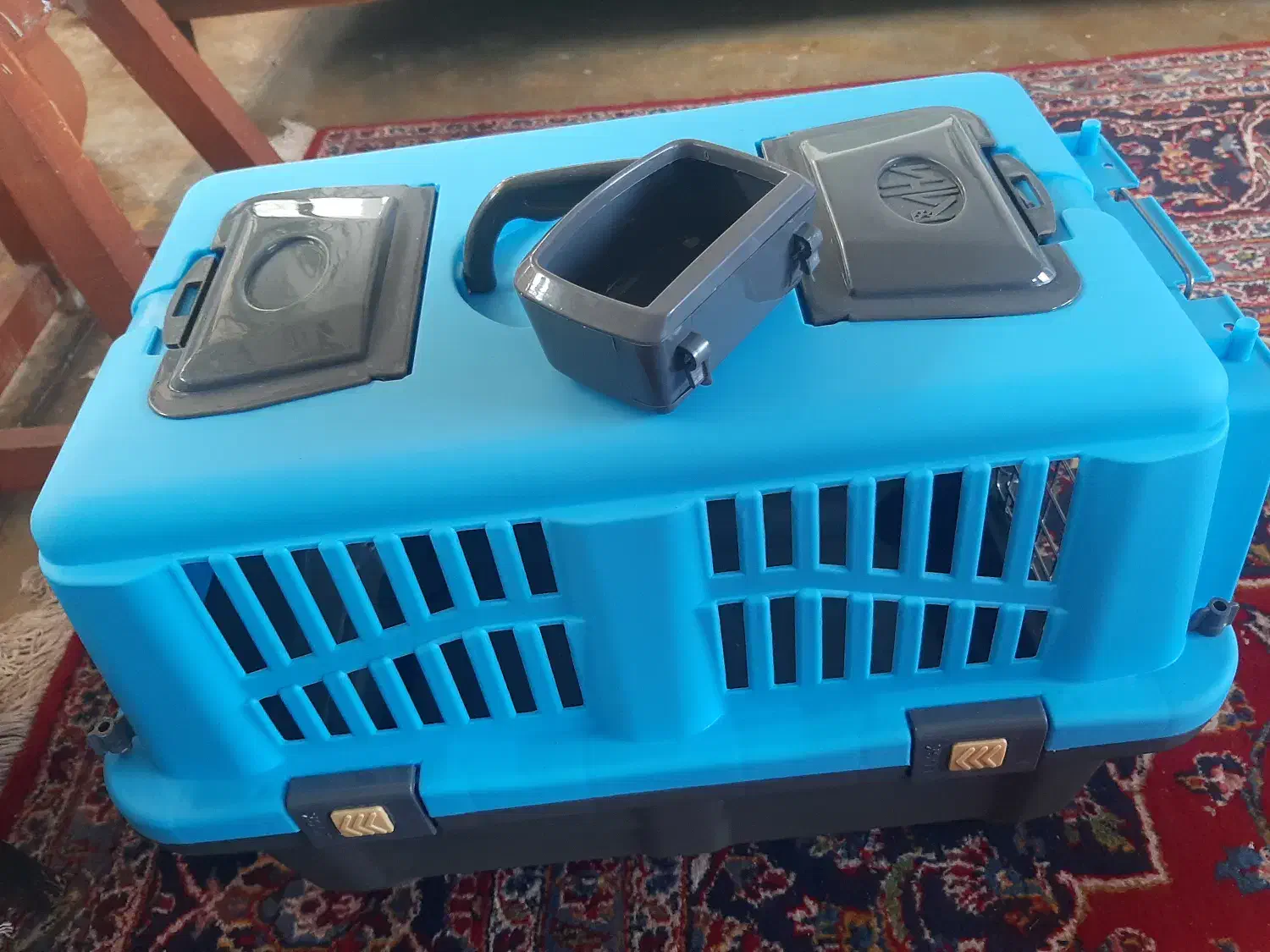 وسایل پت سگ فروشی با تخفیف|لوازم جانبی حیوانات|رشت, لاکان شهر|دیوار