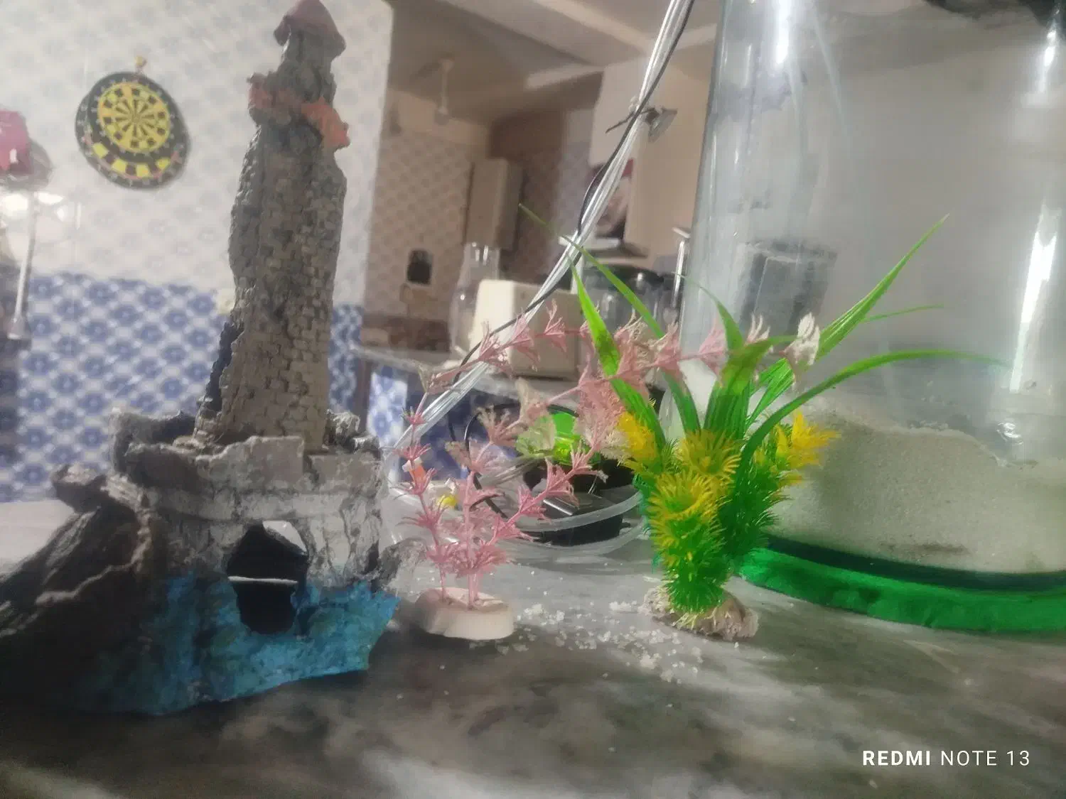 زیرقیمت بازار میفروشم حراج،آکواریوم استوانه ای|ماهی|کنارک, |دیوار